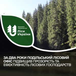 Догляд за лісом потребує заощадливості